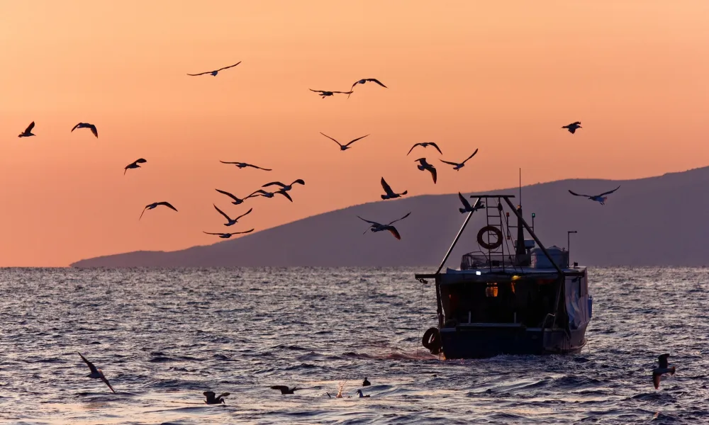 Fishing vassel sun down