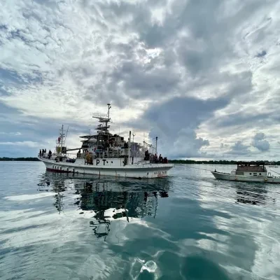 Tuna Supply