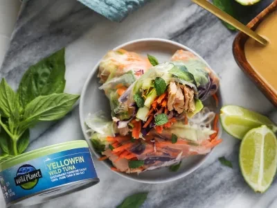 Lenterolletjes met tonijn