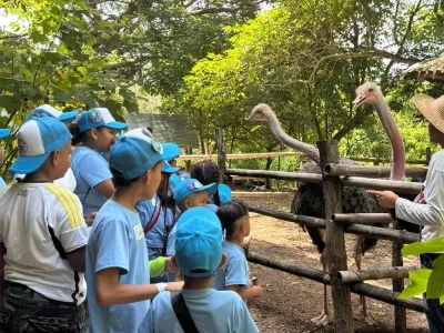 Summer Camp_Colombia