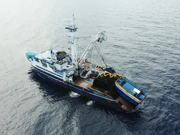 Food_Tuna Supply_Responsible Fishing_Boat