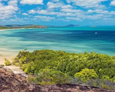 Rio Mare and WWF work together to protect mangroves