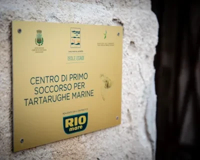 20 Caretta turtles rescued with the help of Rio Mare