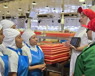 Frauen in der Fabrik Auflistung zu den Anweisungen